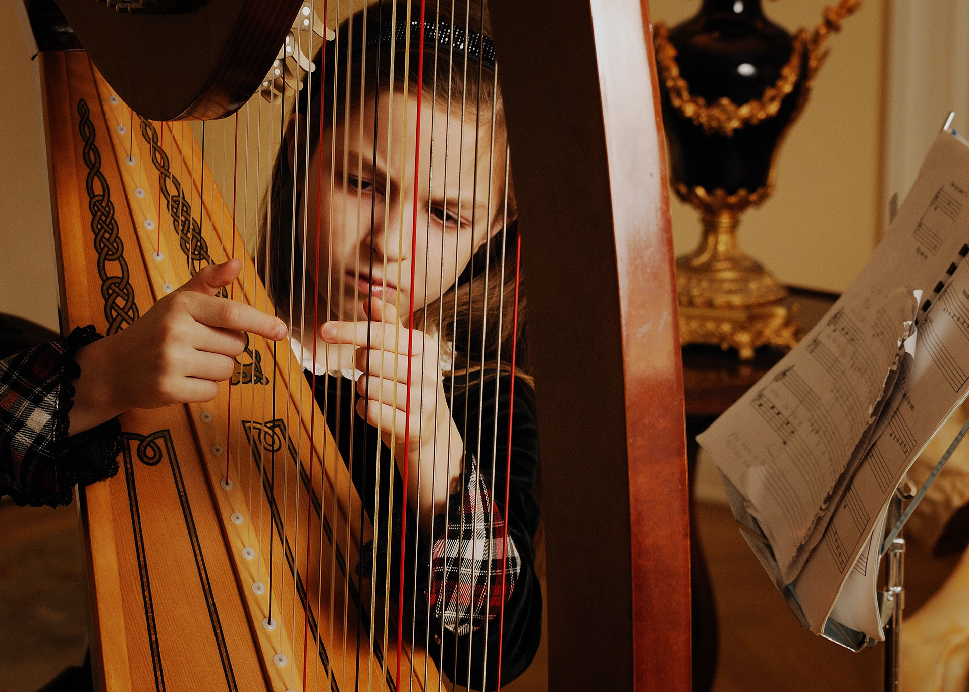 Lessons Luc Walpot Harpist in Devon